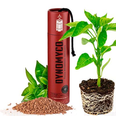 Dynomyco Premium Mycorrhizal Inoculants