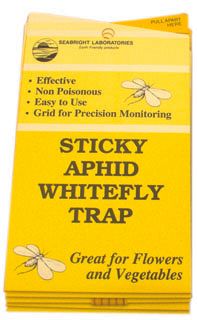 White Fly Trap 5pk