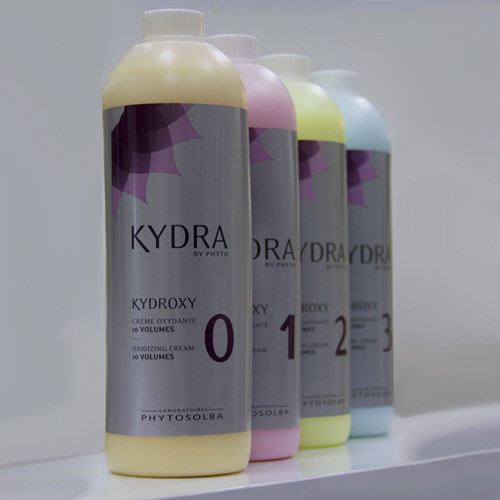 Краска Kydra Купить В Магазине