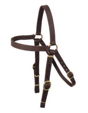 Nyla-Web Barcoo Bridle Head, Size: Cob
