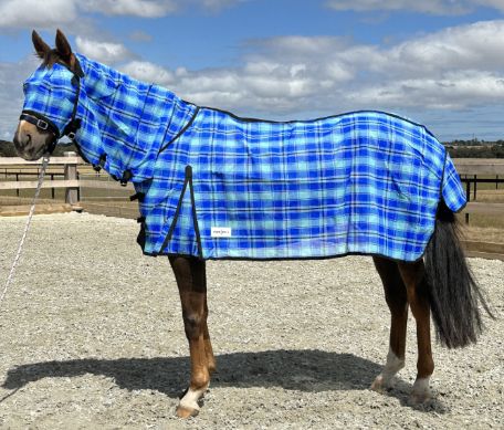 Eureka Shadecloth Mesh Combo, Colour: Blue, Size: 5'9