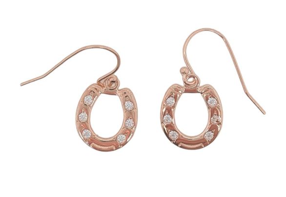 MCJ EARRINGS S/S &amp; RGP CZ DROP HSH