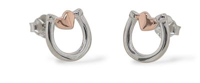 MCJ STUDS S/S &amp; RGP HORSESHOE