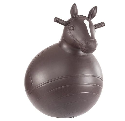 Big Country Toys Bouncy Horse Ages 4-9 years