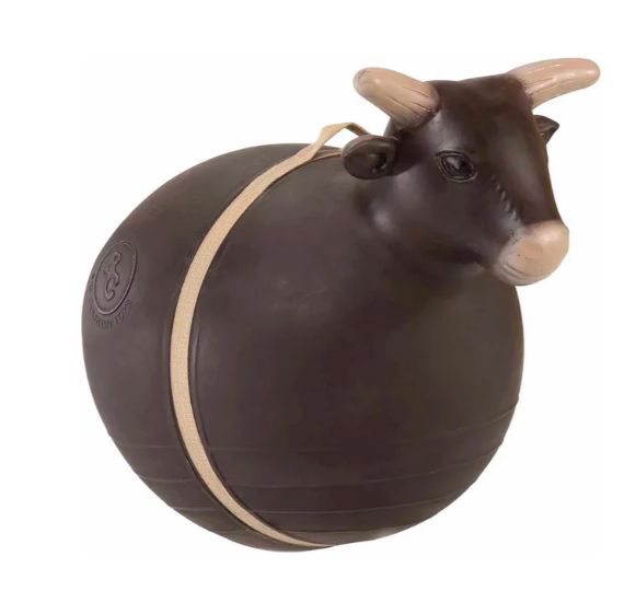 Big Country Bouncy Bull