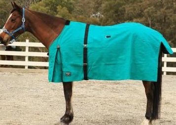 Eureka 5'6" Canvas Rug  8592RU