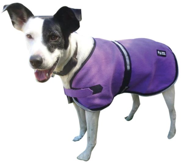 Eureka Polar Fleece Dog Rug