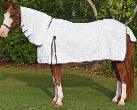 FinnTack SunCooler Summer Combo 5'6