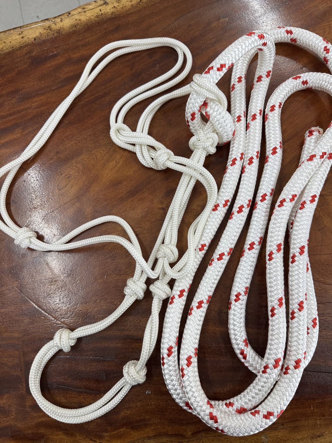 Halter and Lead Rope
