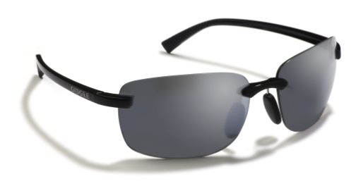 Gidgee Colt, Colour: Black