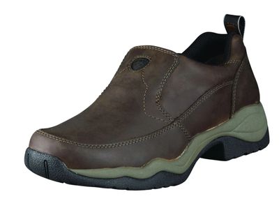 Ariat Men's Distressed Ralley