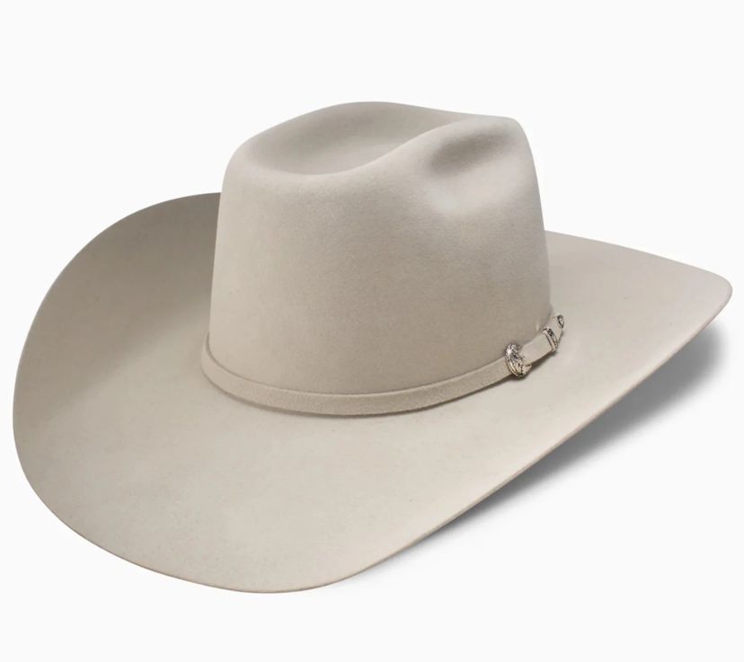 Resistol CJ The SP 6X Fur Felt, Colour: Silverbelly, Size: 54