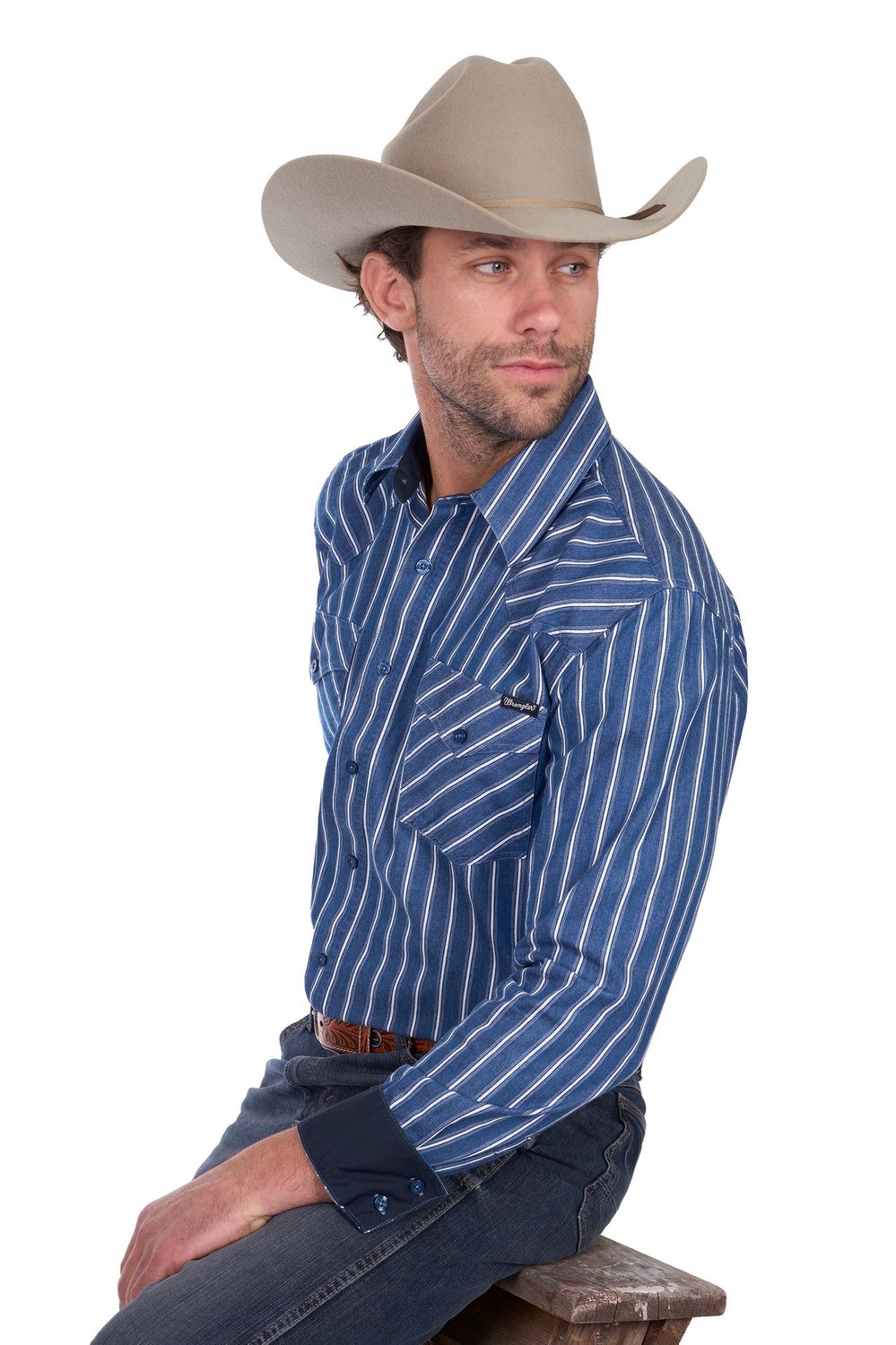 Men’s Roy Stripe  Western L/S Shirt