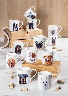 Ashdene Paws and All Asst Mugs