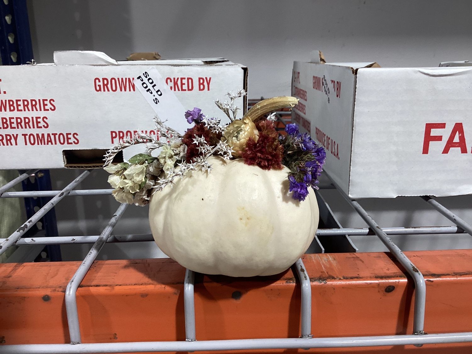 Mini Flower Pumpkin