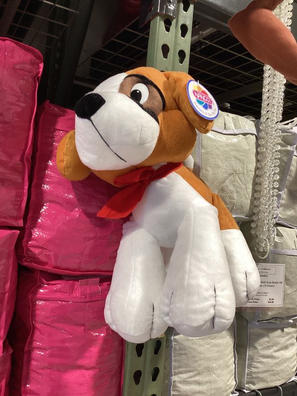 16" Cocoa St. Bernard (Each)