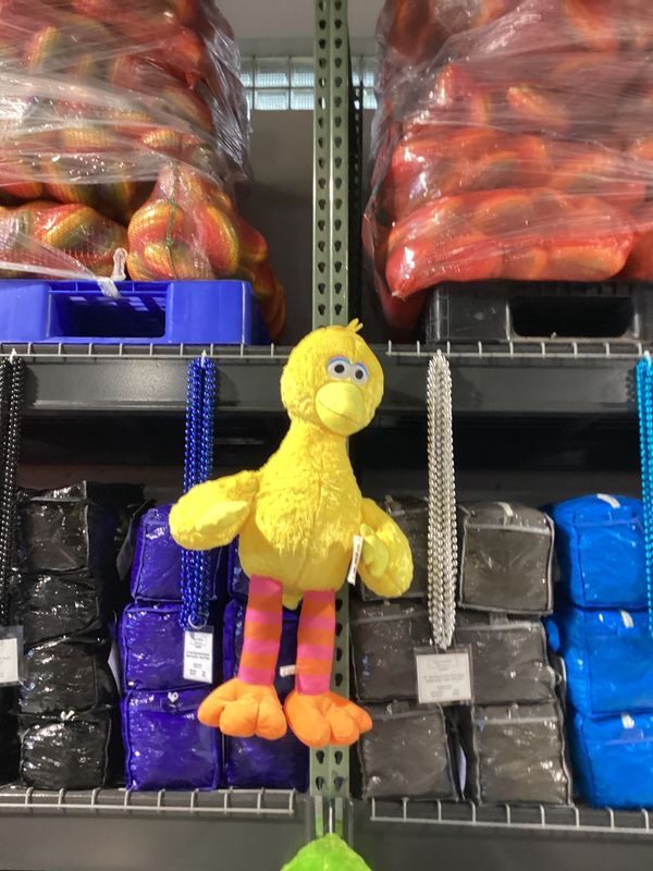 29" Big Bird Classic SS