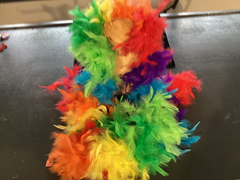 6' Rainbow Sectional Boa (Each)