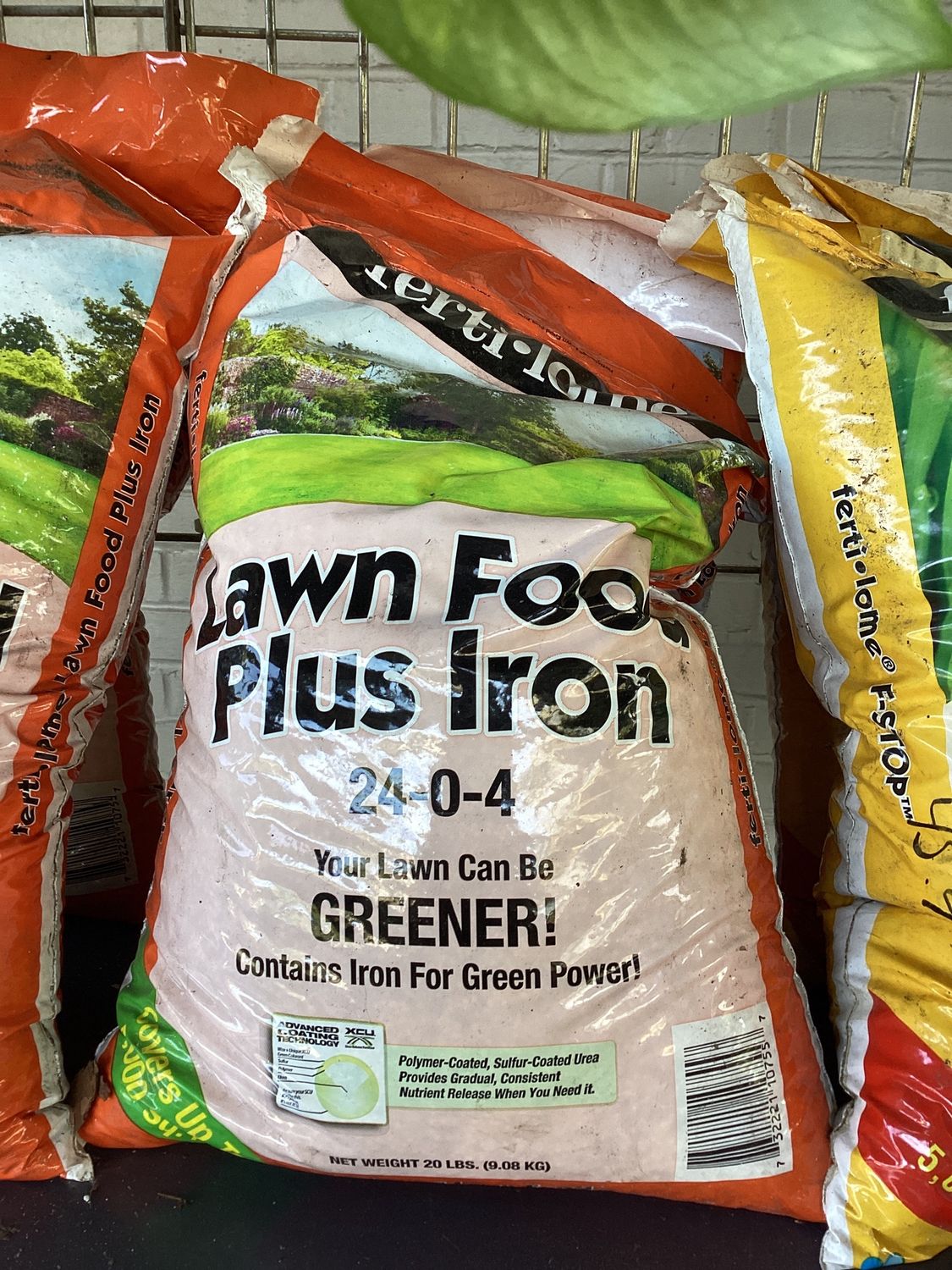 Fertilome Lawn Food Plus Iron