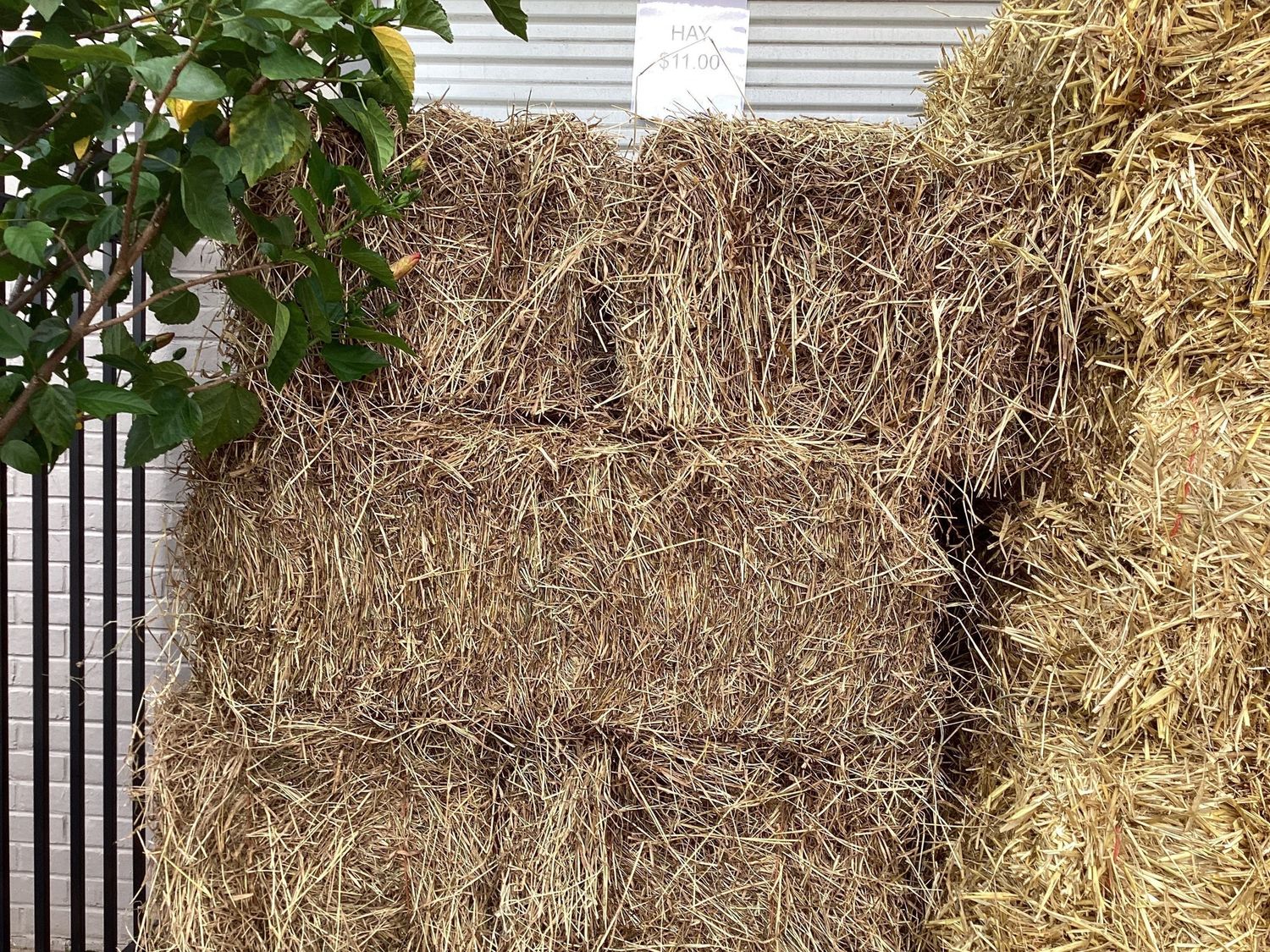 Large Hay Bale