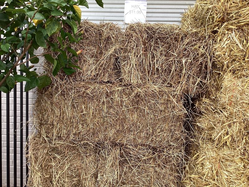 Large Hay Bale