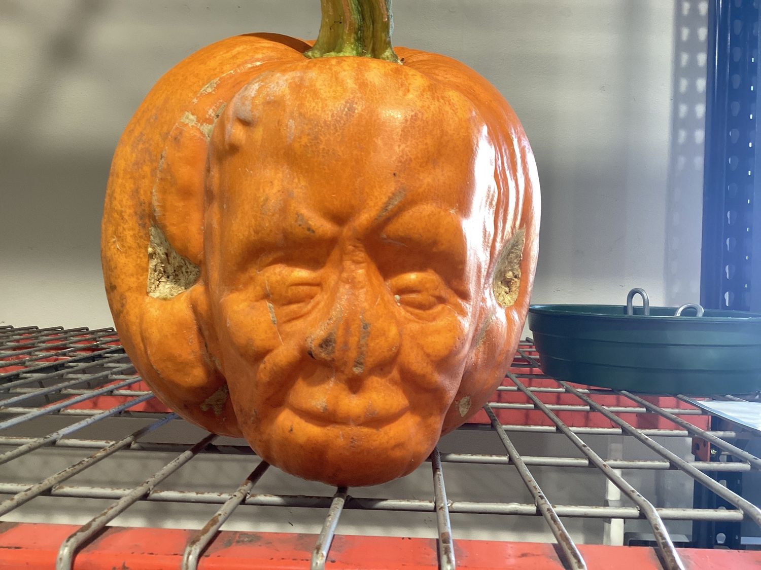Molded Face Pumpkin