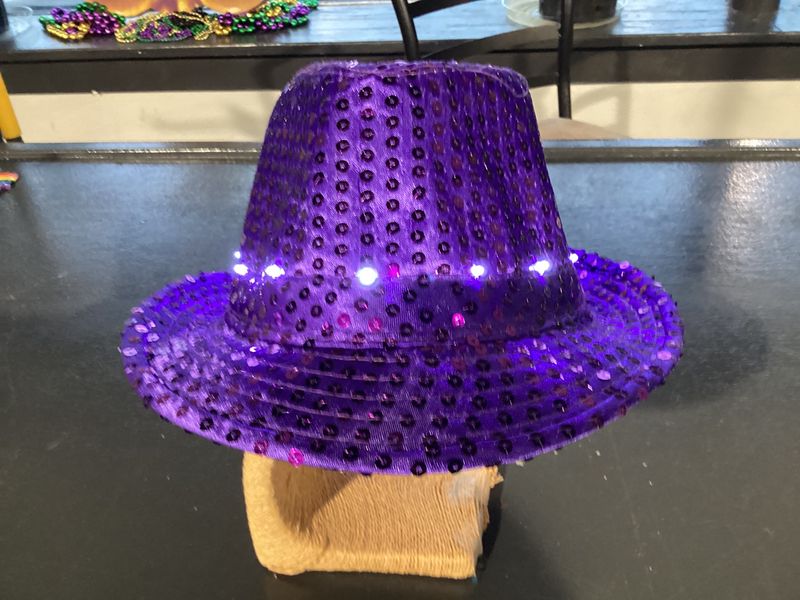 Purple LED Fedora with 14 White Lights (Each)