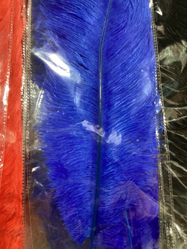 Royal Blue Ostrich Feather Plume 18" to 20" (Each)