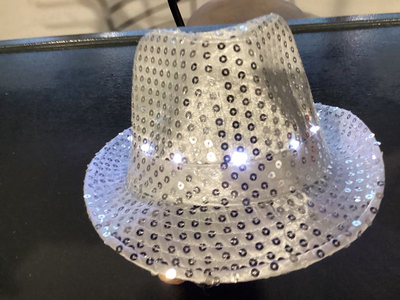 Silver LED Fedora with 14 White Lights (Each)
