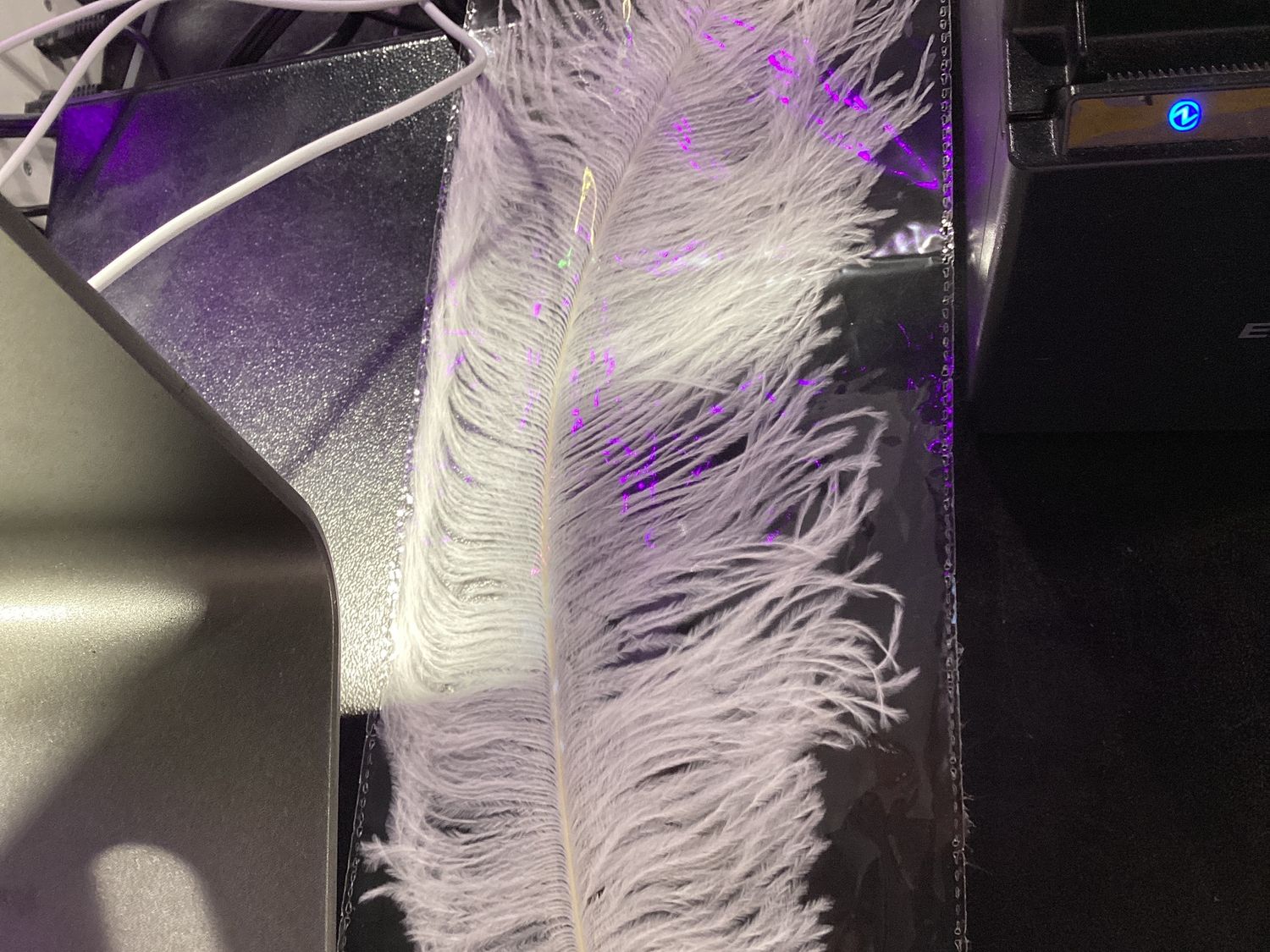 White Ostrich Feather Plume 18" to 20" (Each)