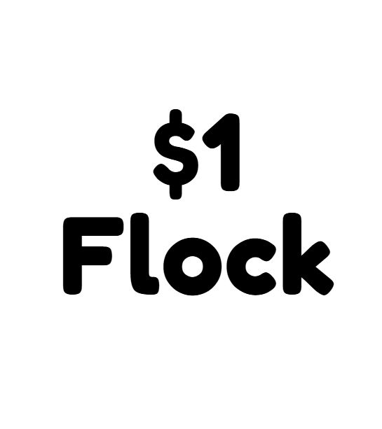 $1 flock