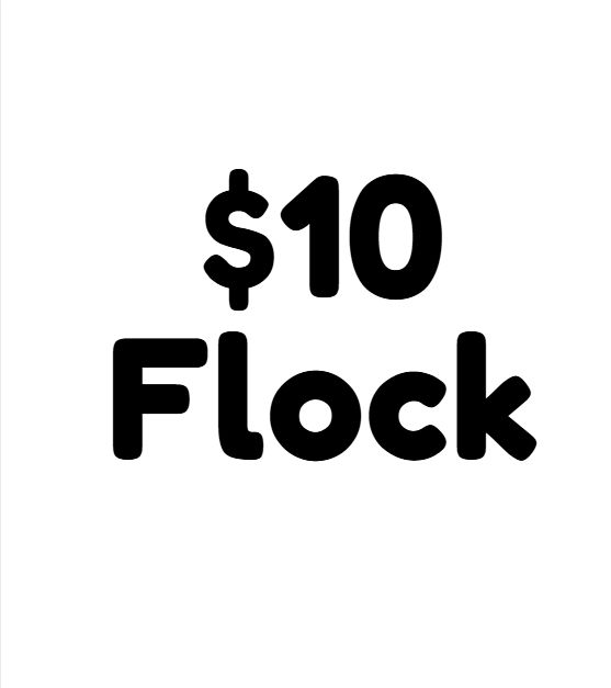 $10 Flock