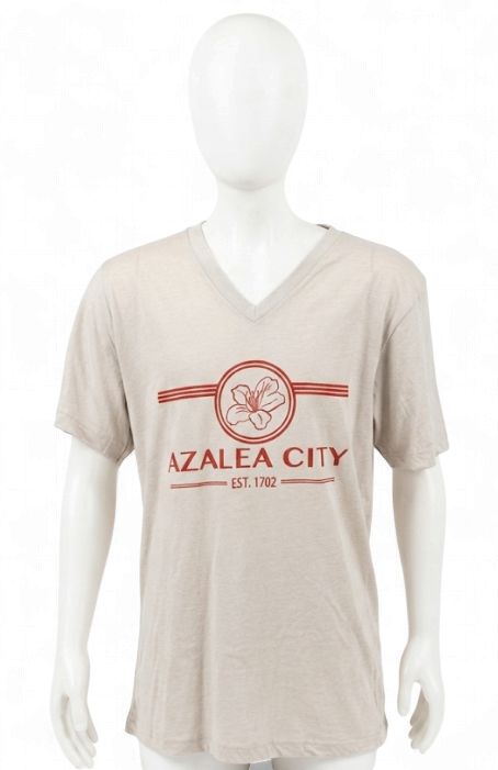 Azalea City Men's V-Neck - MEDIUM