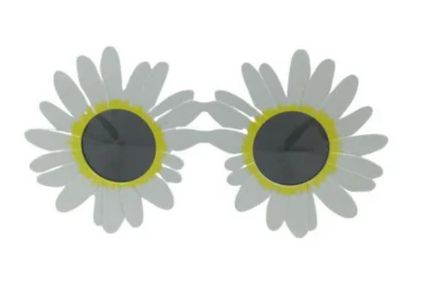 Daisy Sunglasses (Each)
