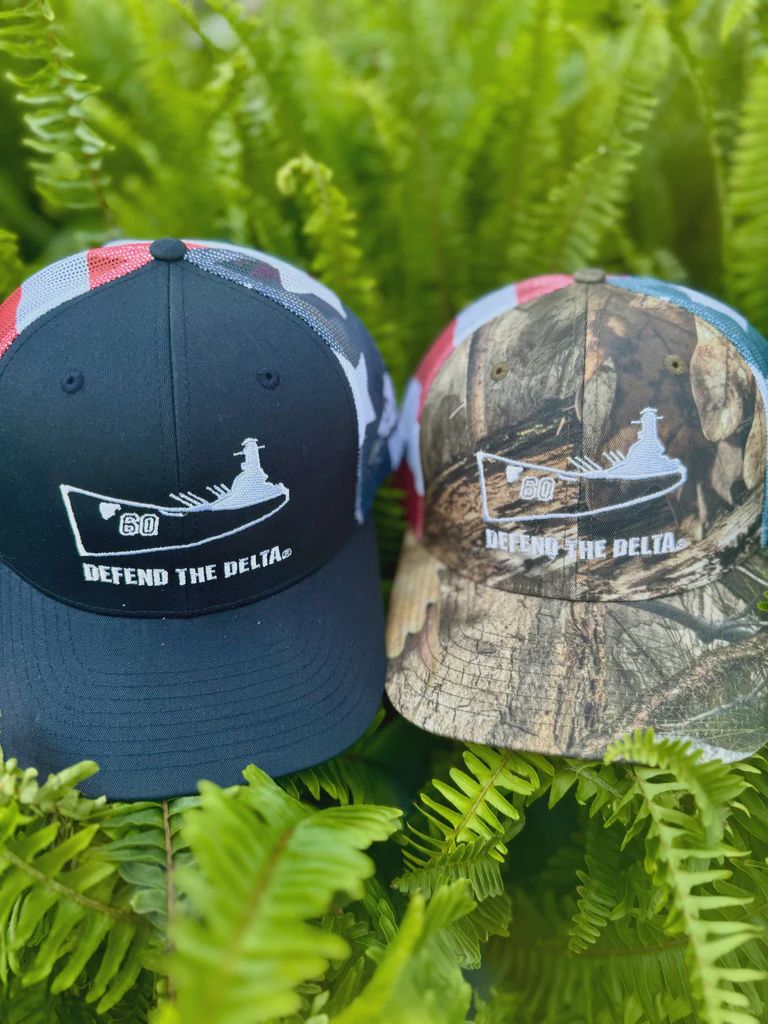 Defend the Delta Snapback