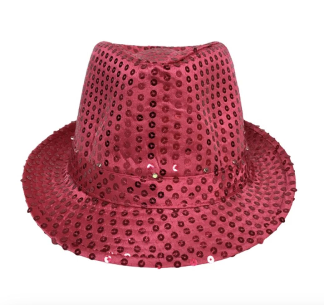 Hot Pink LED Fedora with 14 White Lights (Each)