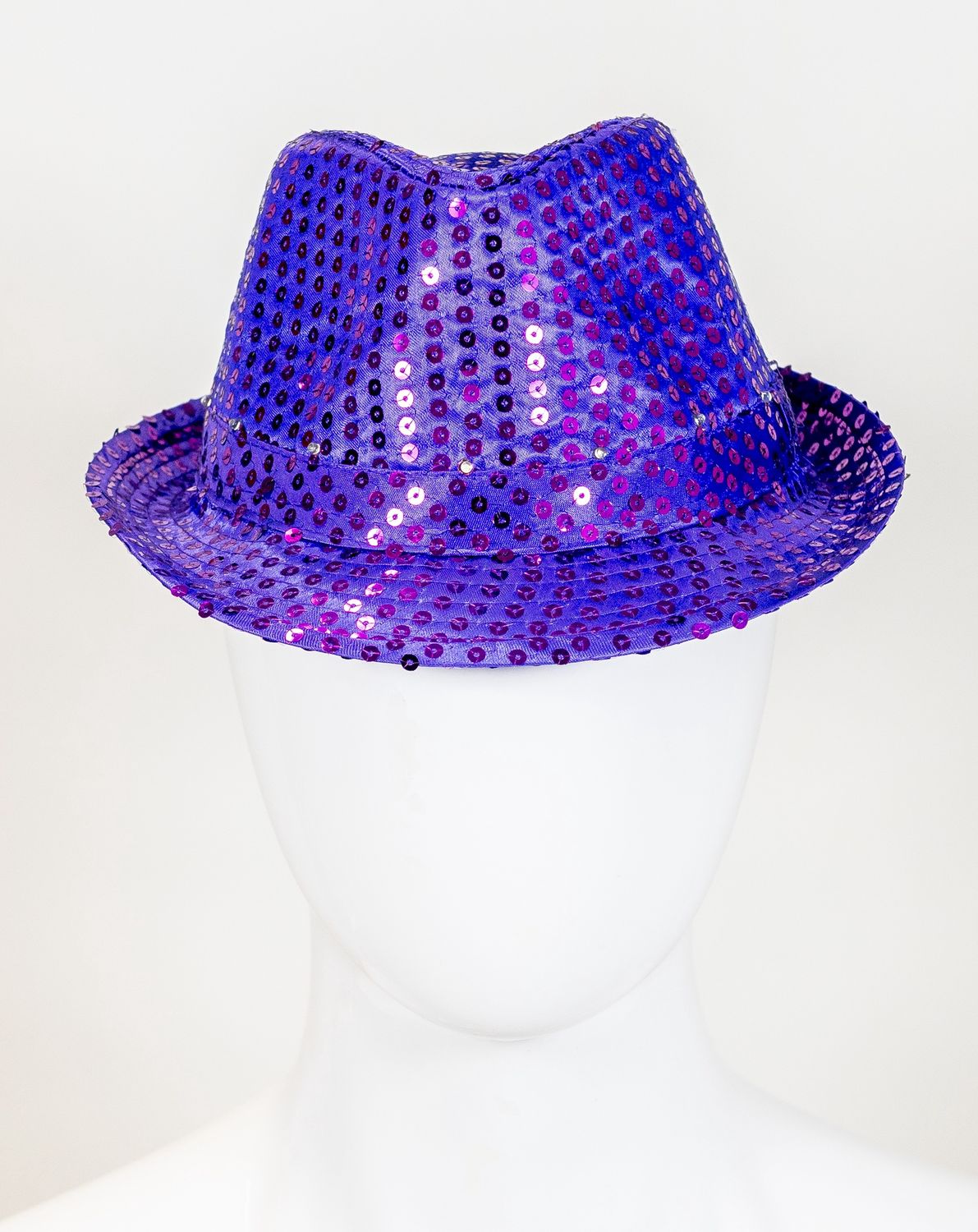 Purple LED Fedora with 14 White Lights (Each)