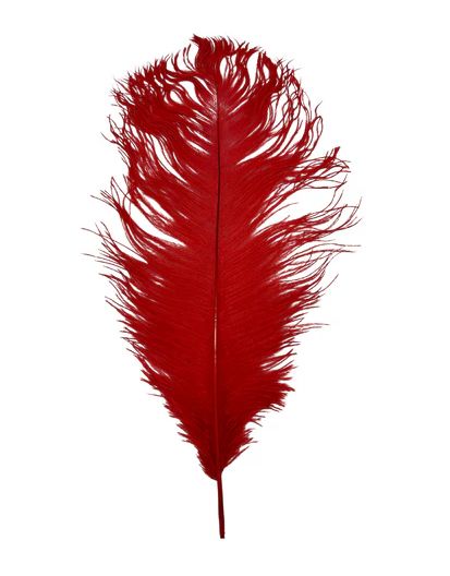 Red Ostrich Feather Plume 18" to 20" (Each)