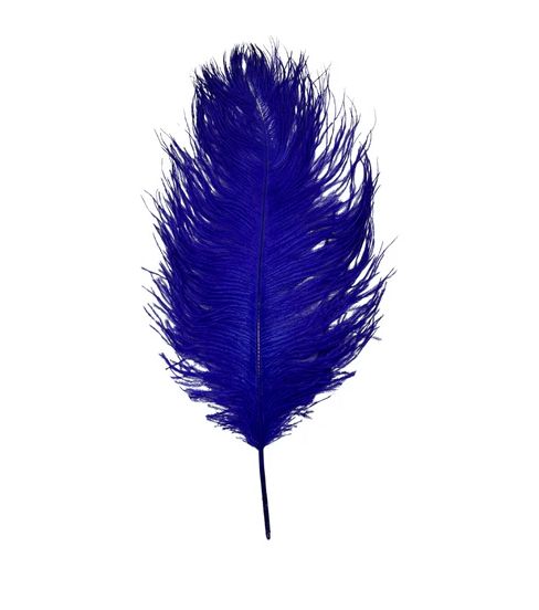 Royal Blue Ostrich Feather Plume 18" to 20" (Each)