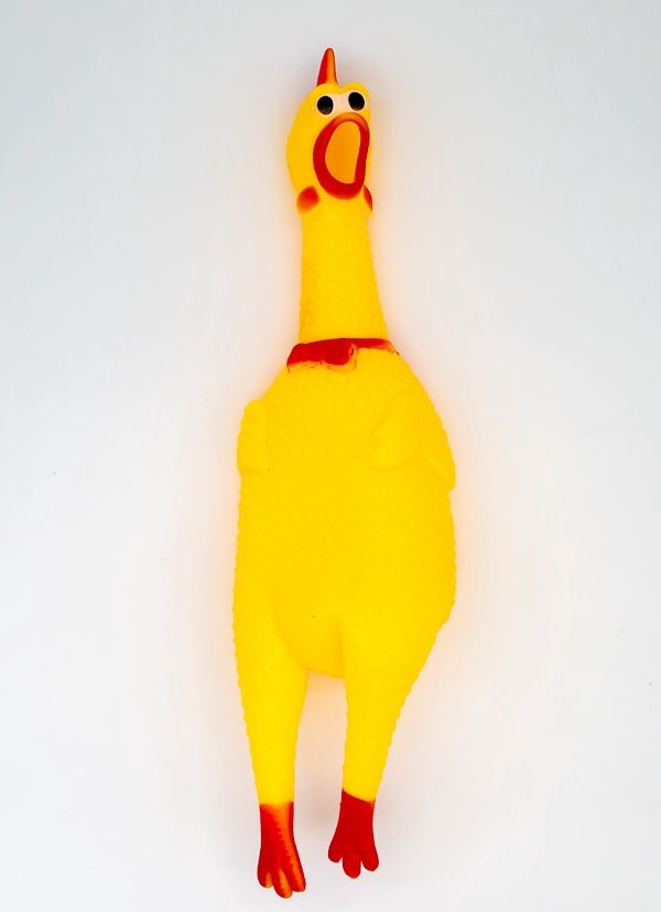 Vinyl Shrilling Chicken 12" (Each)