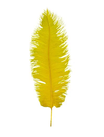 Yellow Ostrich Feather Plume 18" to 20" (Each)