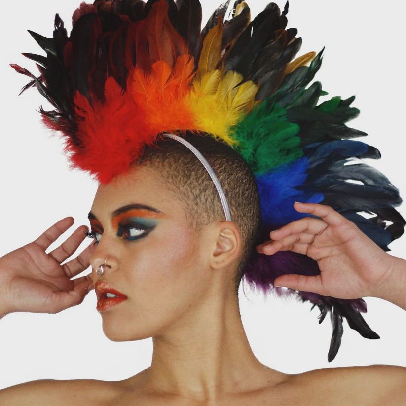 Mohawk Rooster 20 x 10 inch (one size fits all)