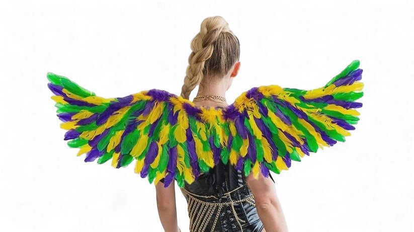 Angel Wings Multi 44 x 26 inch