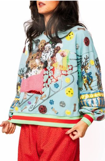 Aqua Dogs On Santa's Sleigh Sweatshirt