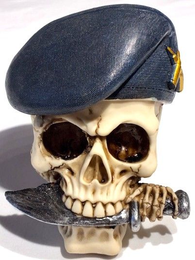Crâne avec béret commando