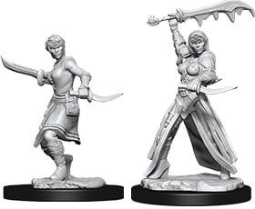 Dungeons &amp; Dragons Nolzur`s Marvelous Female Human Rogue