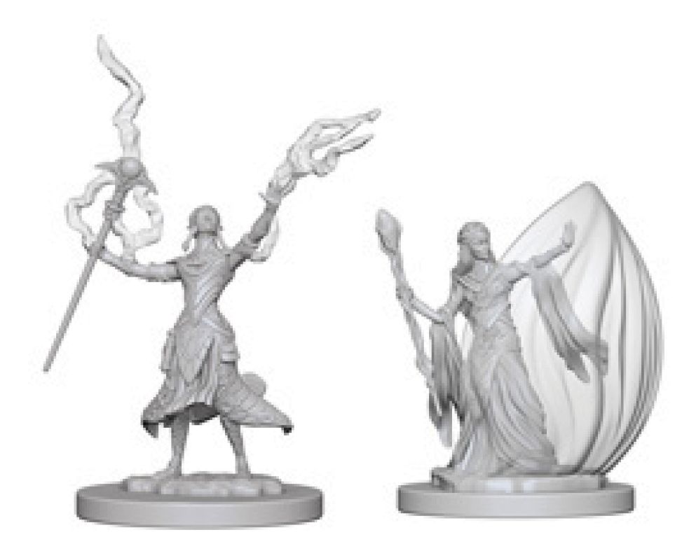 Dungeons &amp; Dragons Nolzur`s Marvelous: W3 Elf Female Wizard