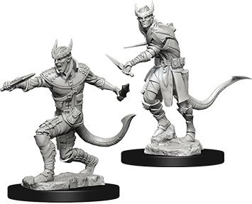 Dungeons &amp; Dragons Nolzur`s W5 Tiefling Male Rogue
