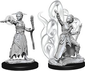 Dungeons &amp; Dragons Nolzur`s Female Human Warlock