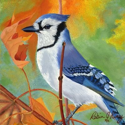 Autumnal Jay